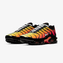 Air Max Plus TN 1 “Tiger”