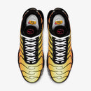 Air Max Plus TN 1 “Tiger”