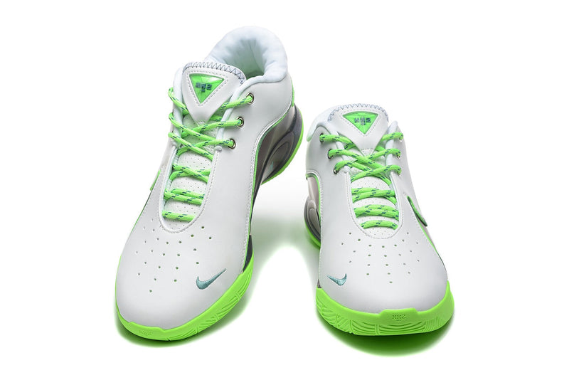 Nike Lebron 22 "White Green"