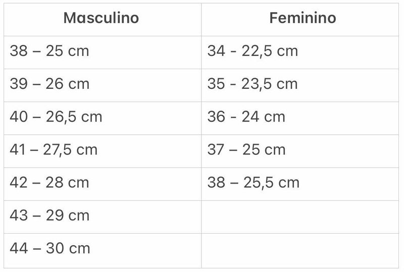 Air Max 95 “Anatomy of Air"