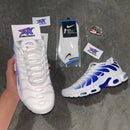 Air Max Plus TN 1 “Wild Grape"